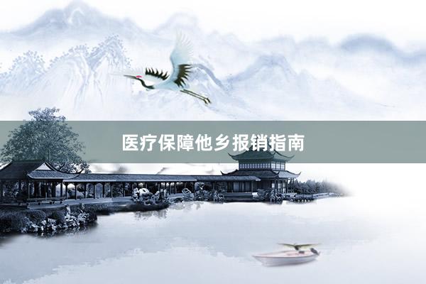 医疗保障他乡报销指南